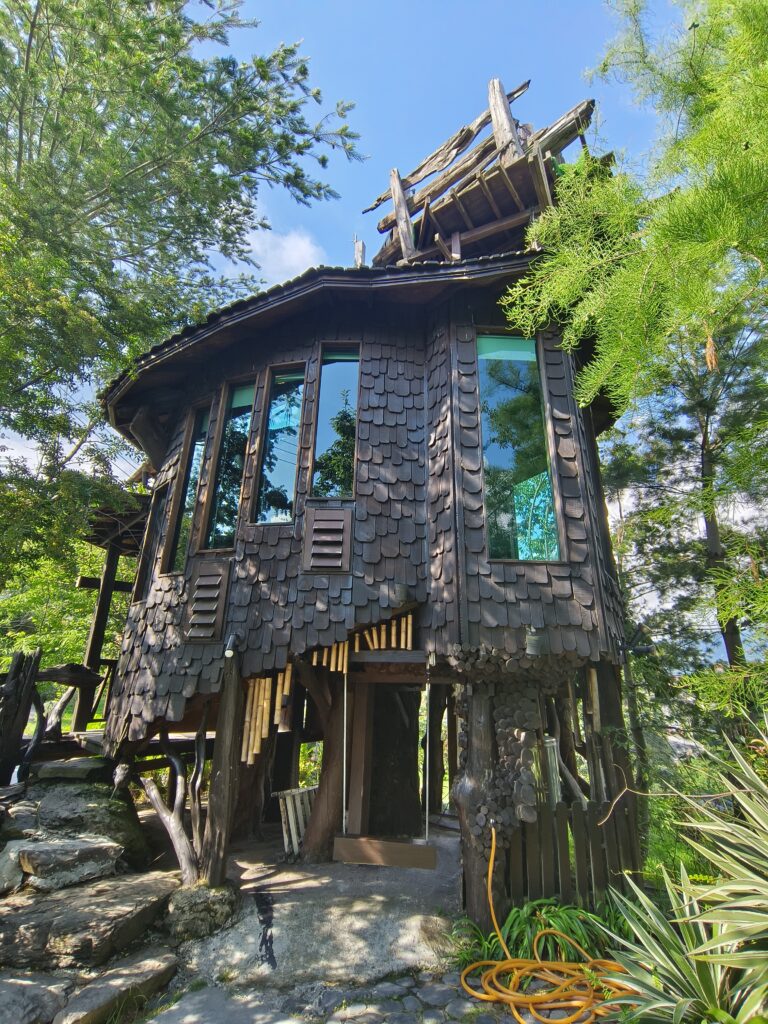 僾伲樹屋