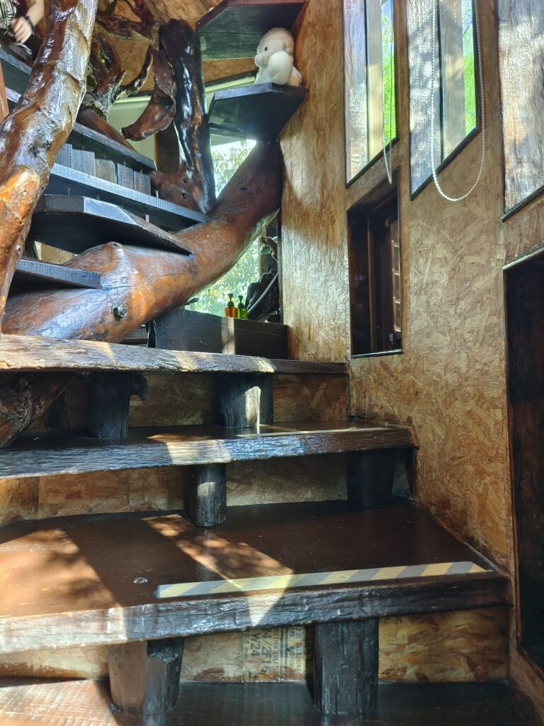僾伲樹屋