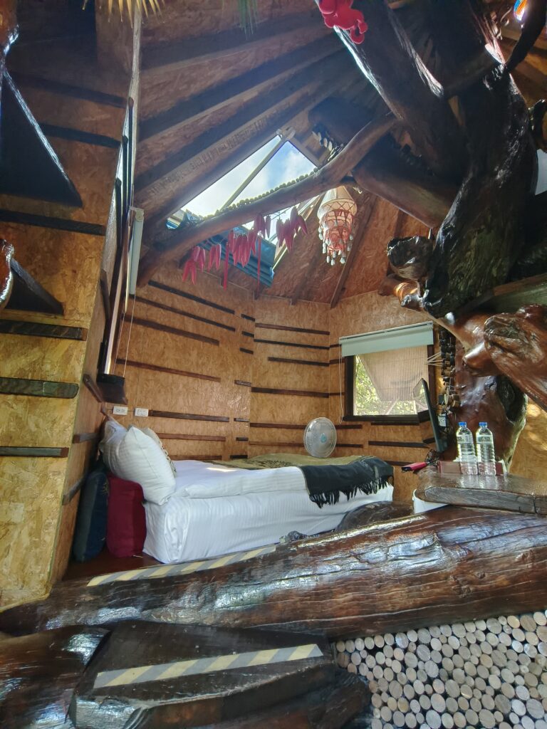 僾伲樹屋