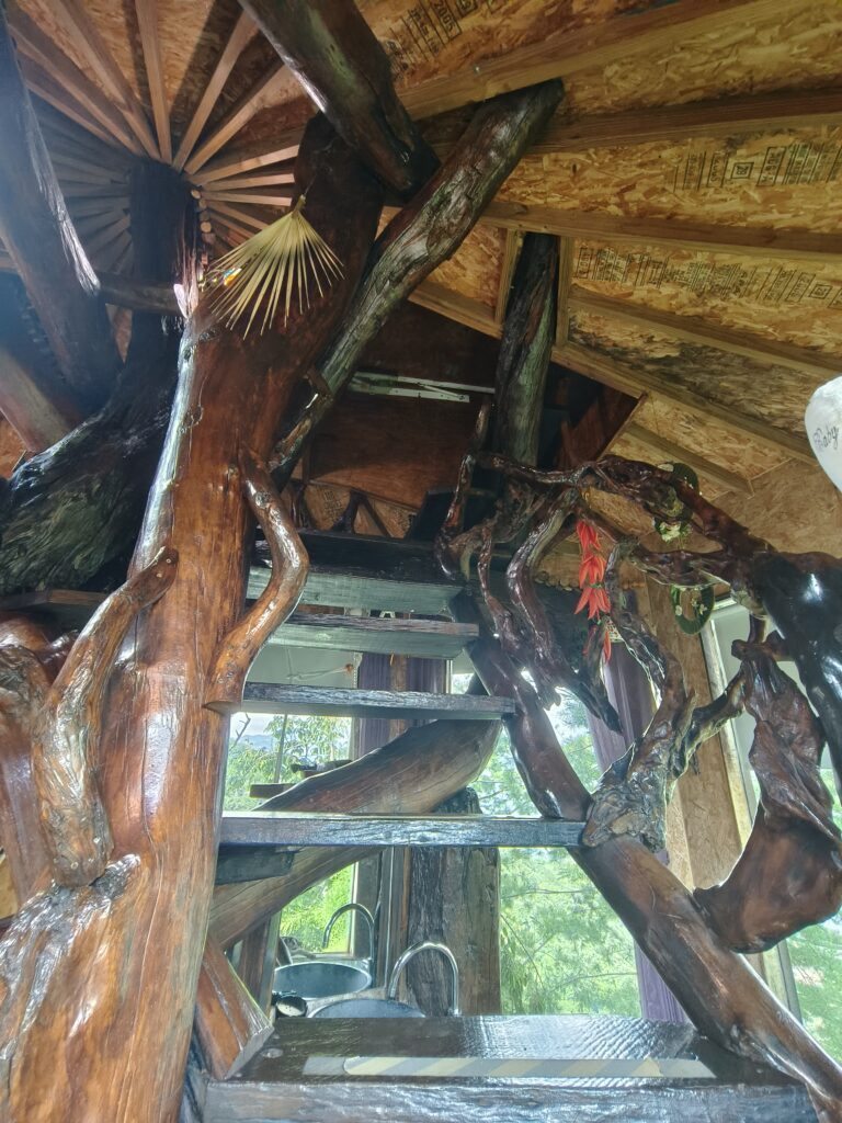 僾伲樹屋