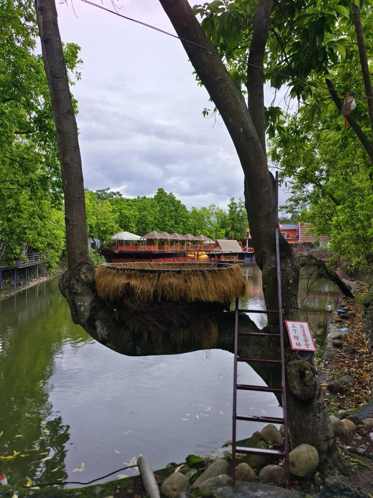 近水樓台湖畔森林咖啡